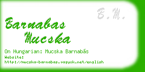 barnabas mucska business card